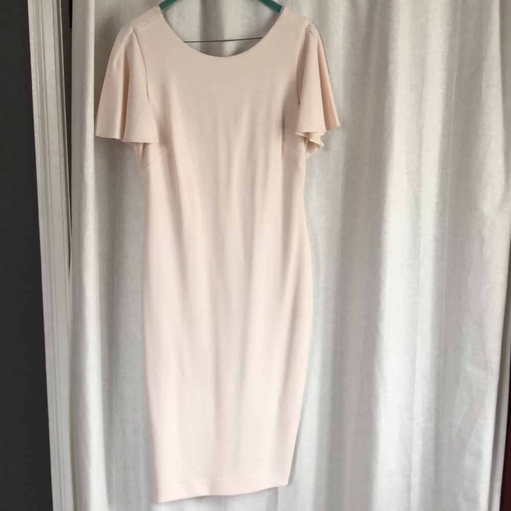 Calvin Klein Pale Pink Dress